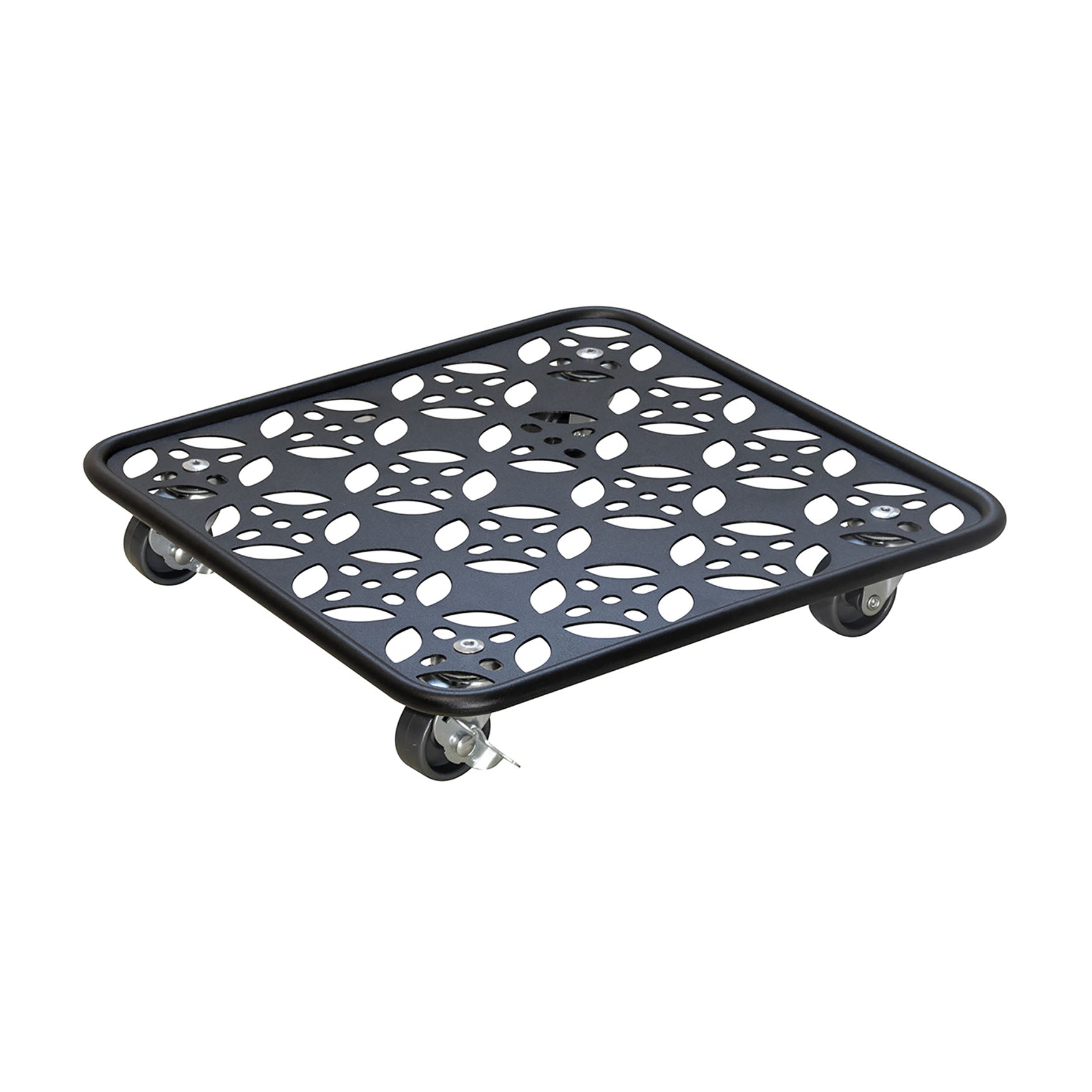 Steel Plant Caddy - 11.8" Black Square Flower