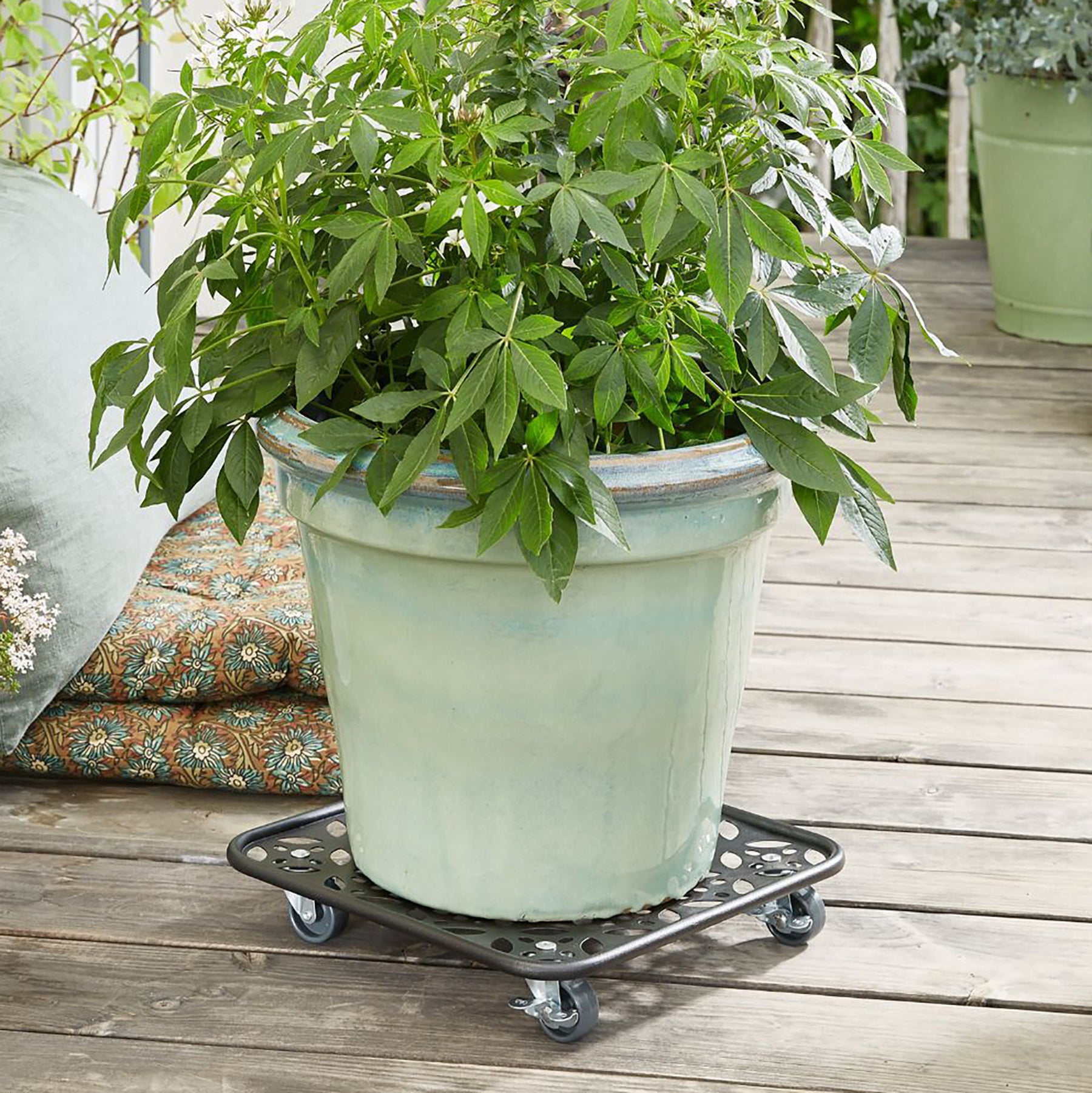 Steel Plant Caddy - 11.8" Black Square Flower