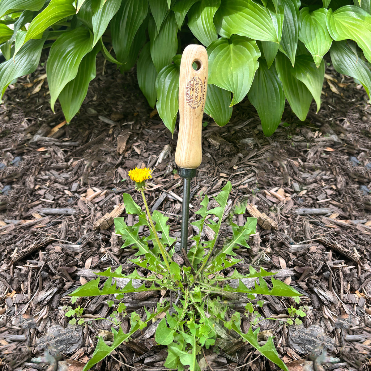 DeWit Tool Set - Weeding
