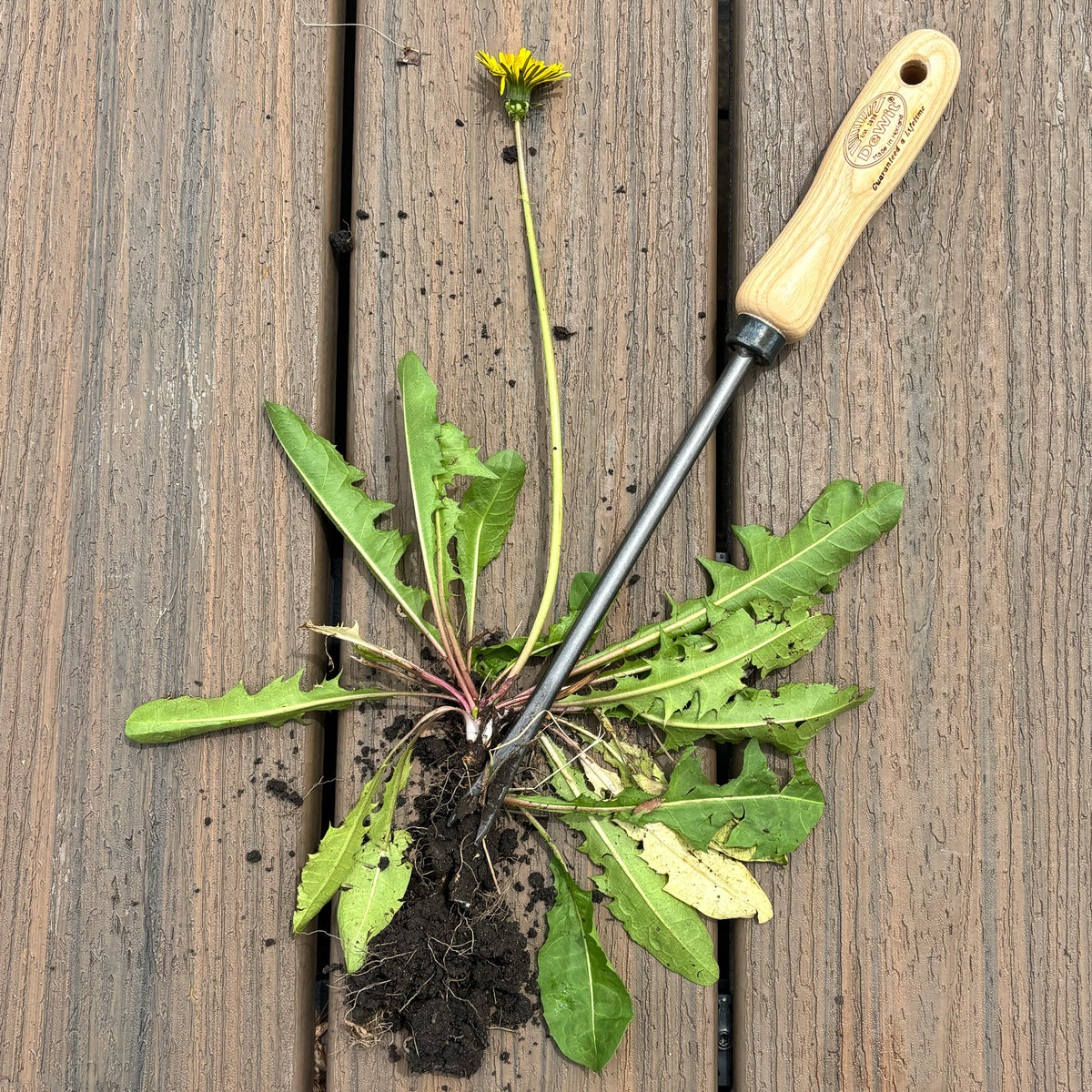 DeWit Tool Set - Weeding