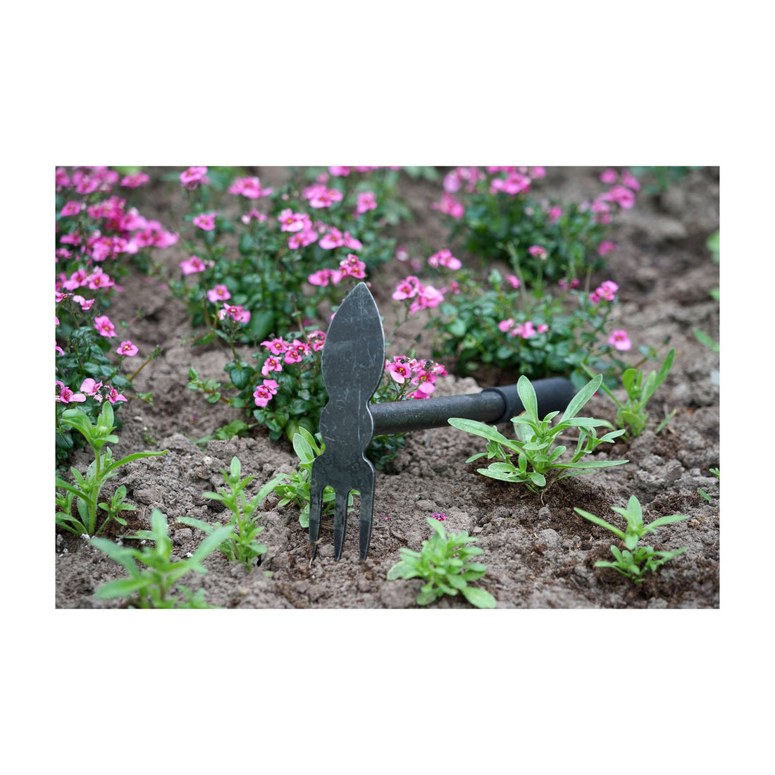 DeWit Combo Hoe - 3 Tine Cultivator & Heart Shaped Edge