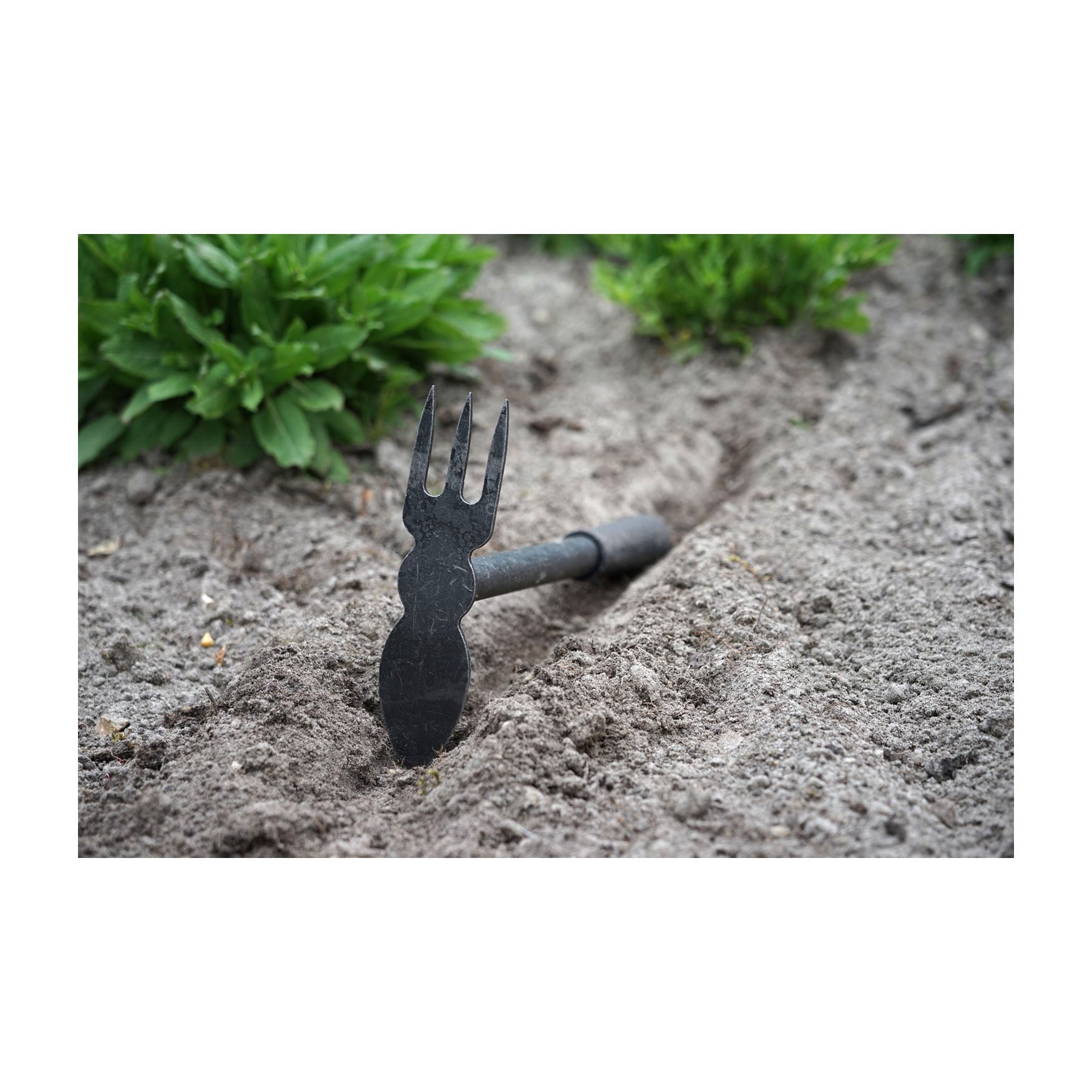 DeWit Combo Hoe - 3 Tine Cultivator & Heart Shaped Edge