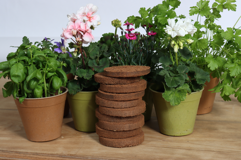 Coir 20g Disc (10 pack) - Growlite Premium