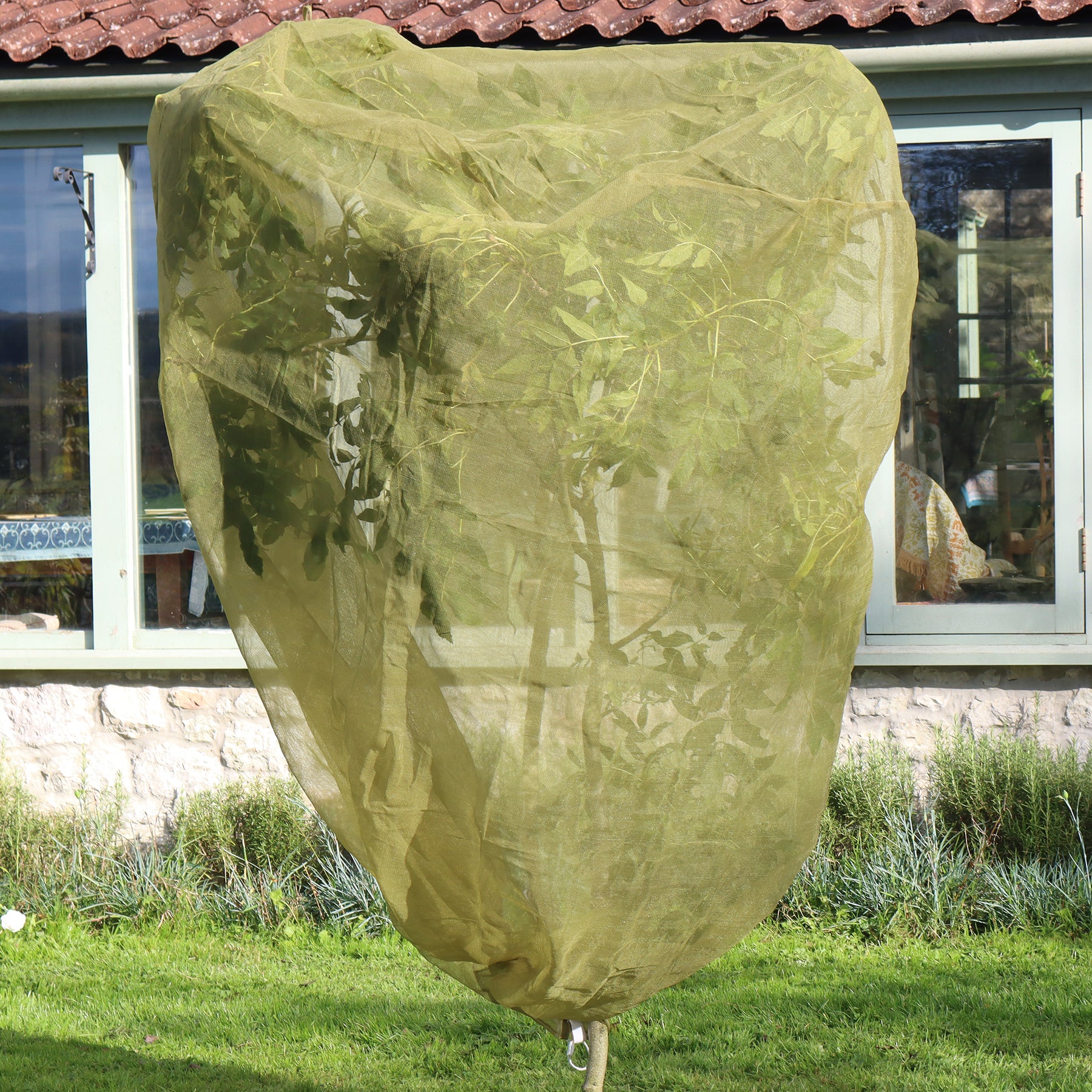 Fruit Tree Cover - 3.3&