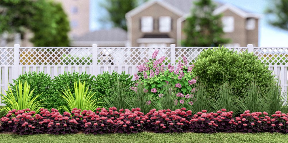 Plants That Work for a Winter Interest Garden (PLANTS THAT WORK WINTER INTEREST GARDEN) -