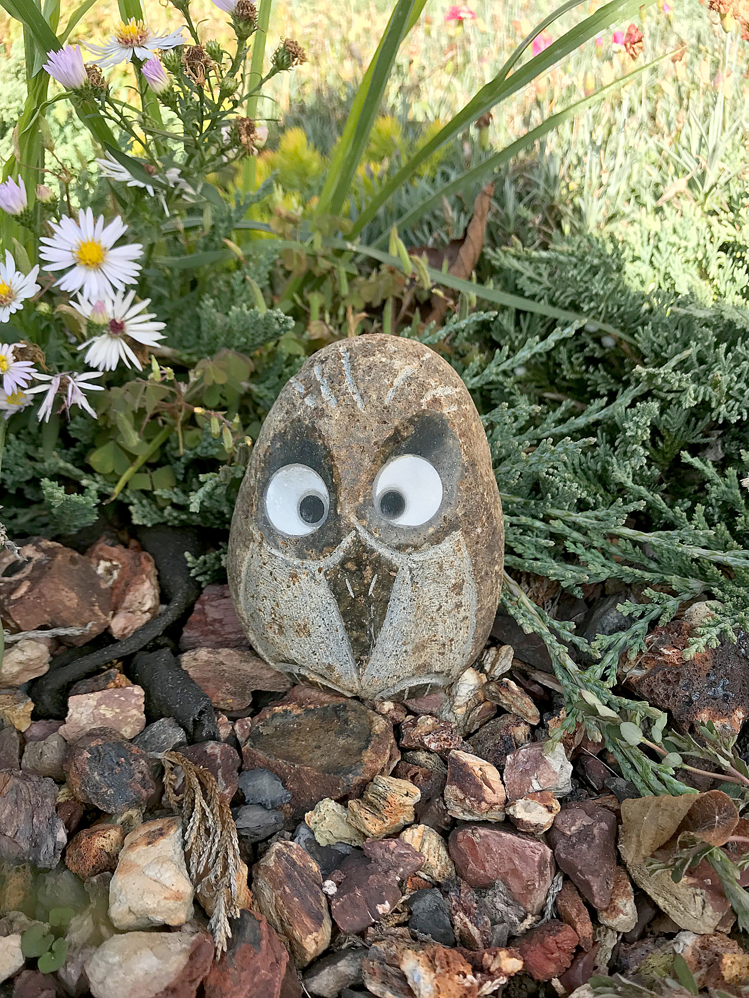 Boulder Angry Bird - 4"H