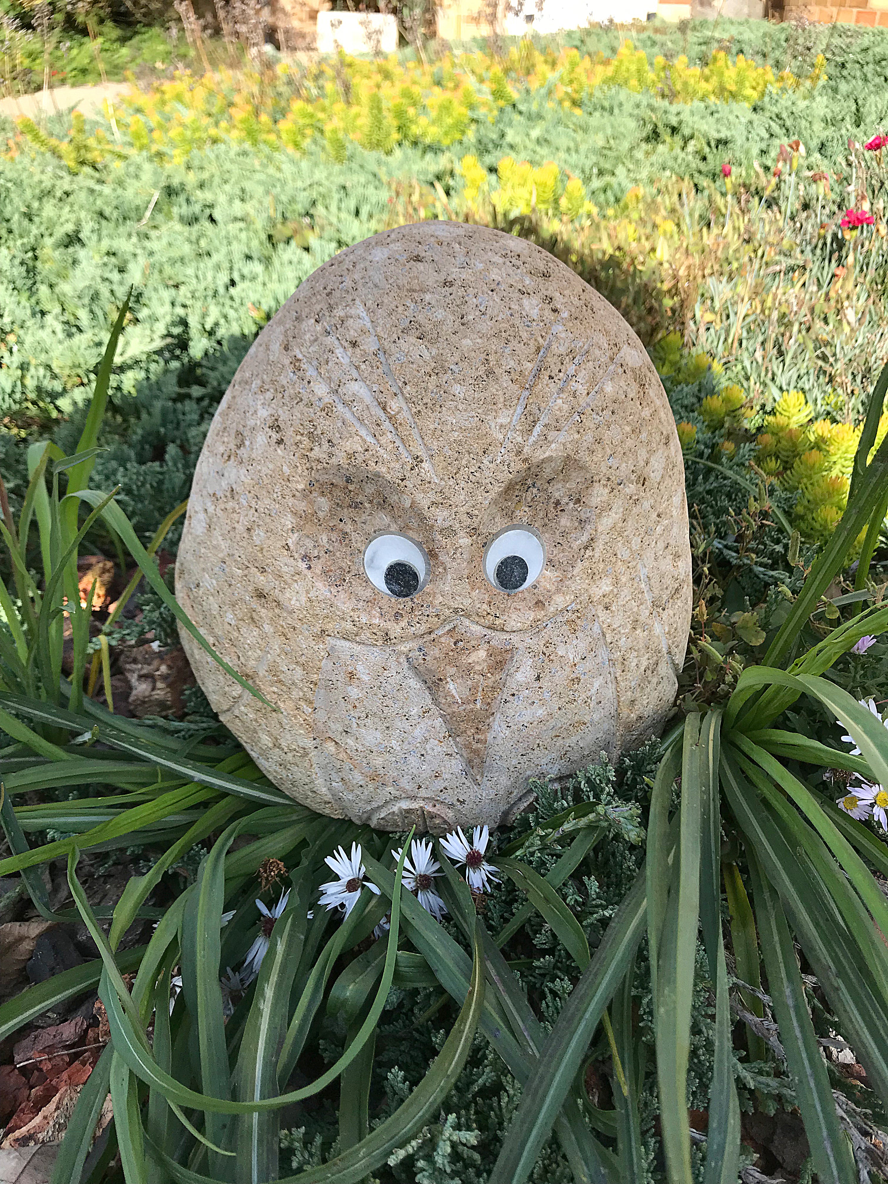 Boulder Angry Bird - 8" H
