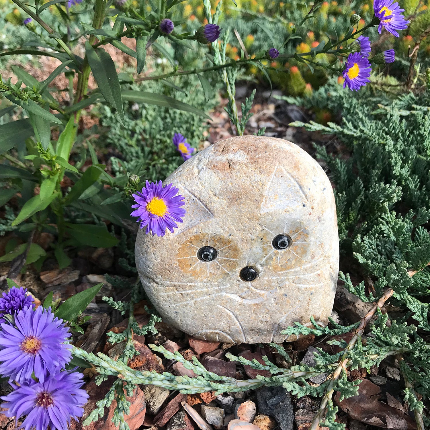 Boulder Cat - 4"