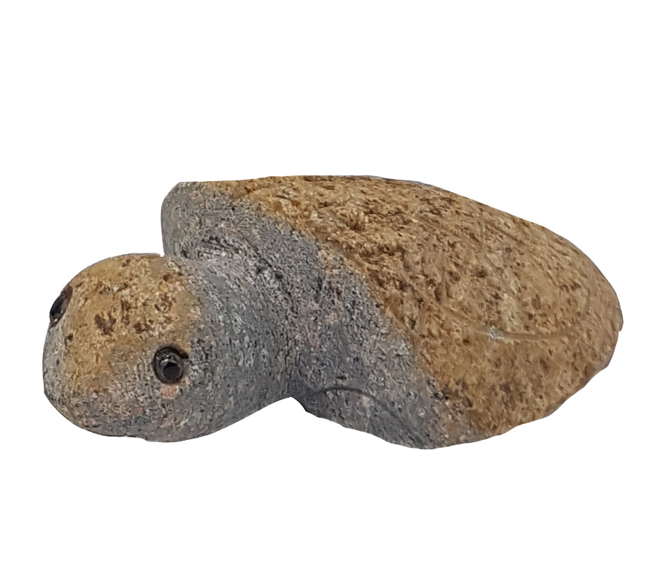 Boulder Turtle - 2"