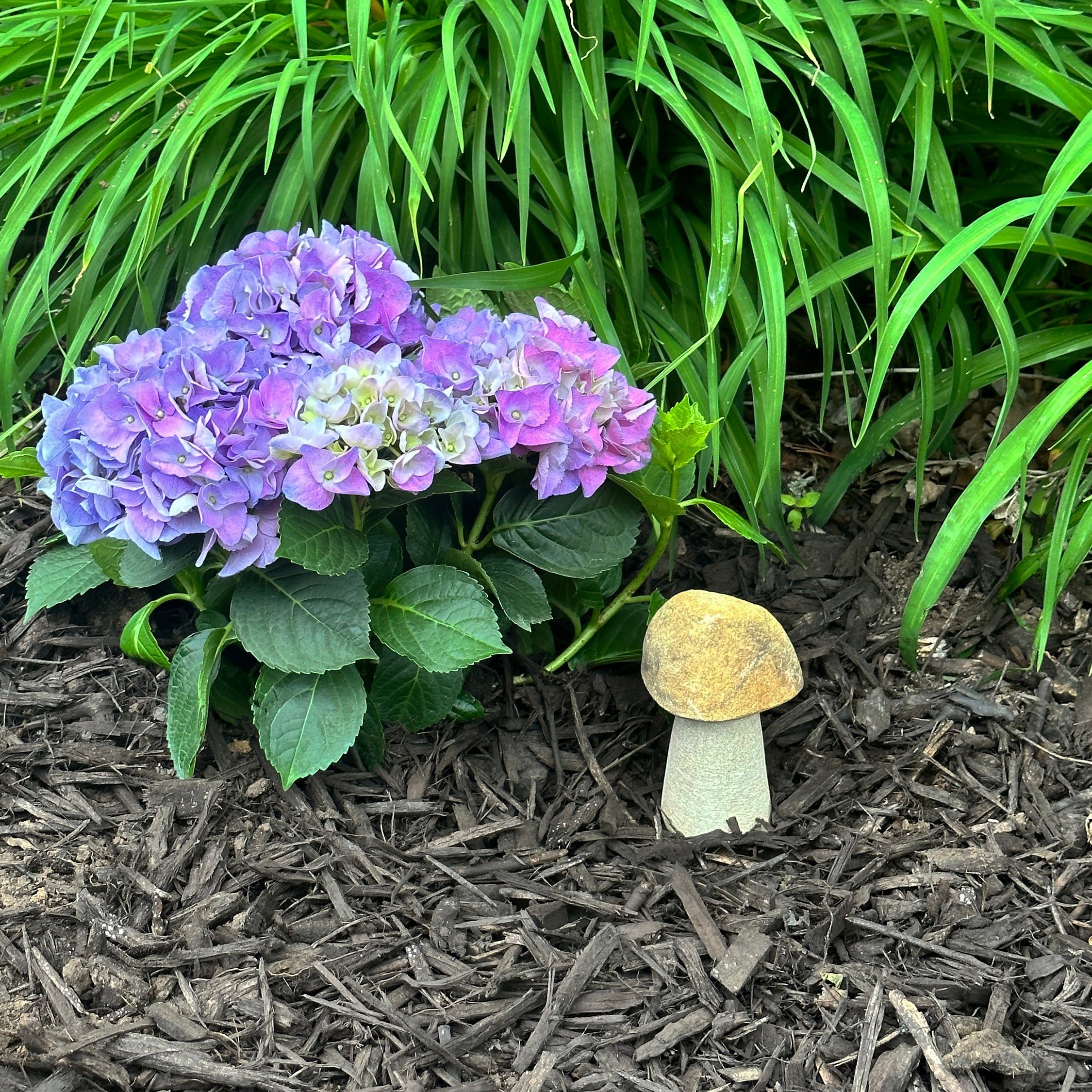 Granite Boulder Mushroom - 5"H