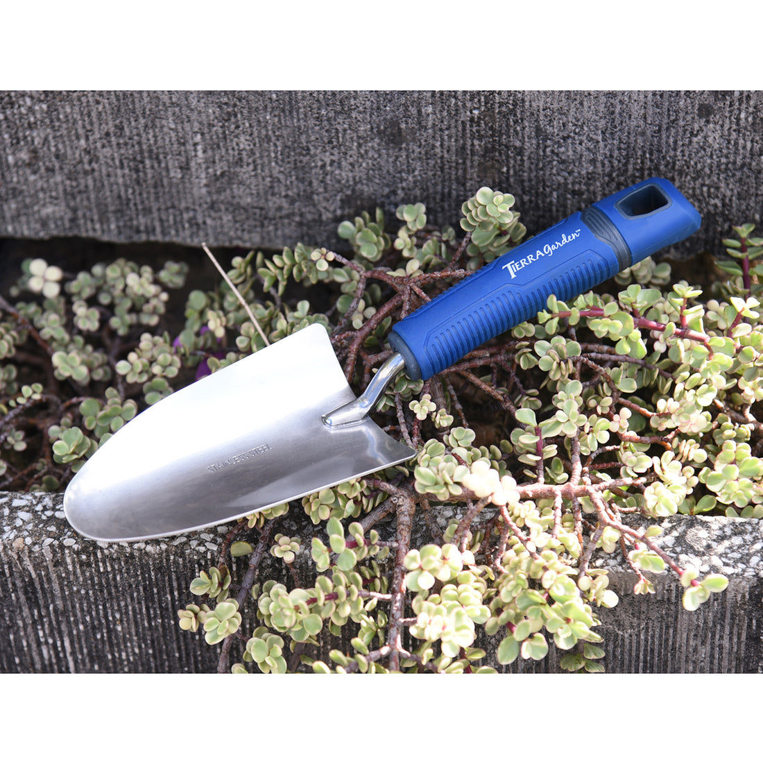 Tierra Stainless Steel Trowel with TPR Handle
