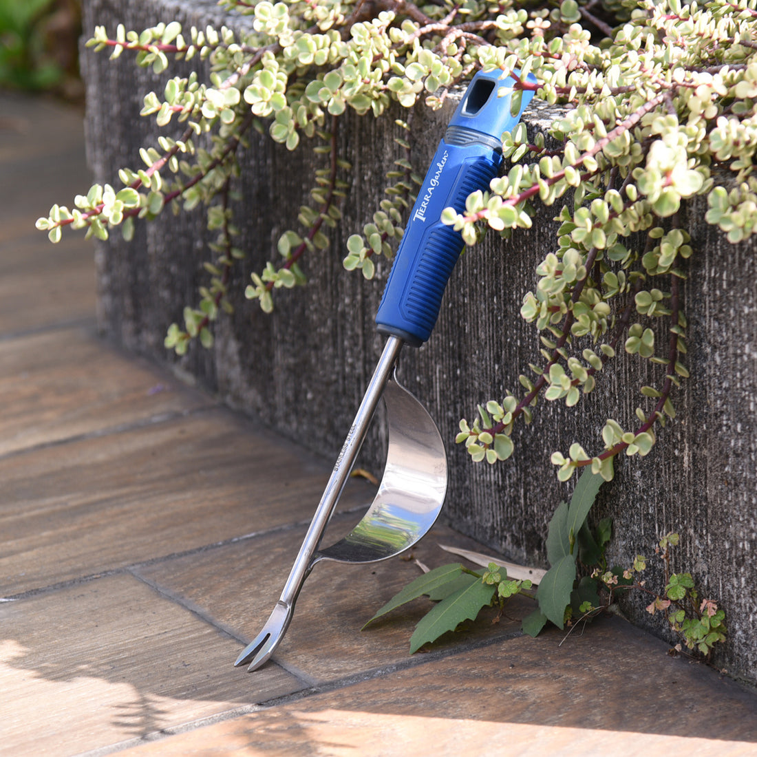 Tierra Stainless Steel Weeder with TPR Handle