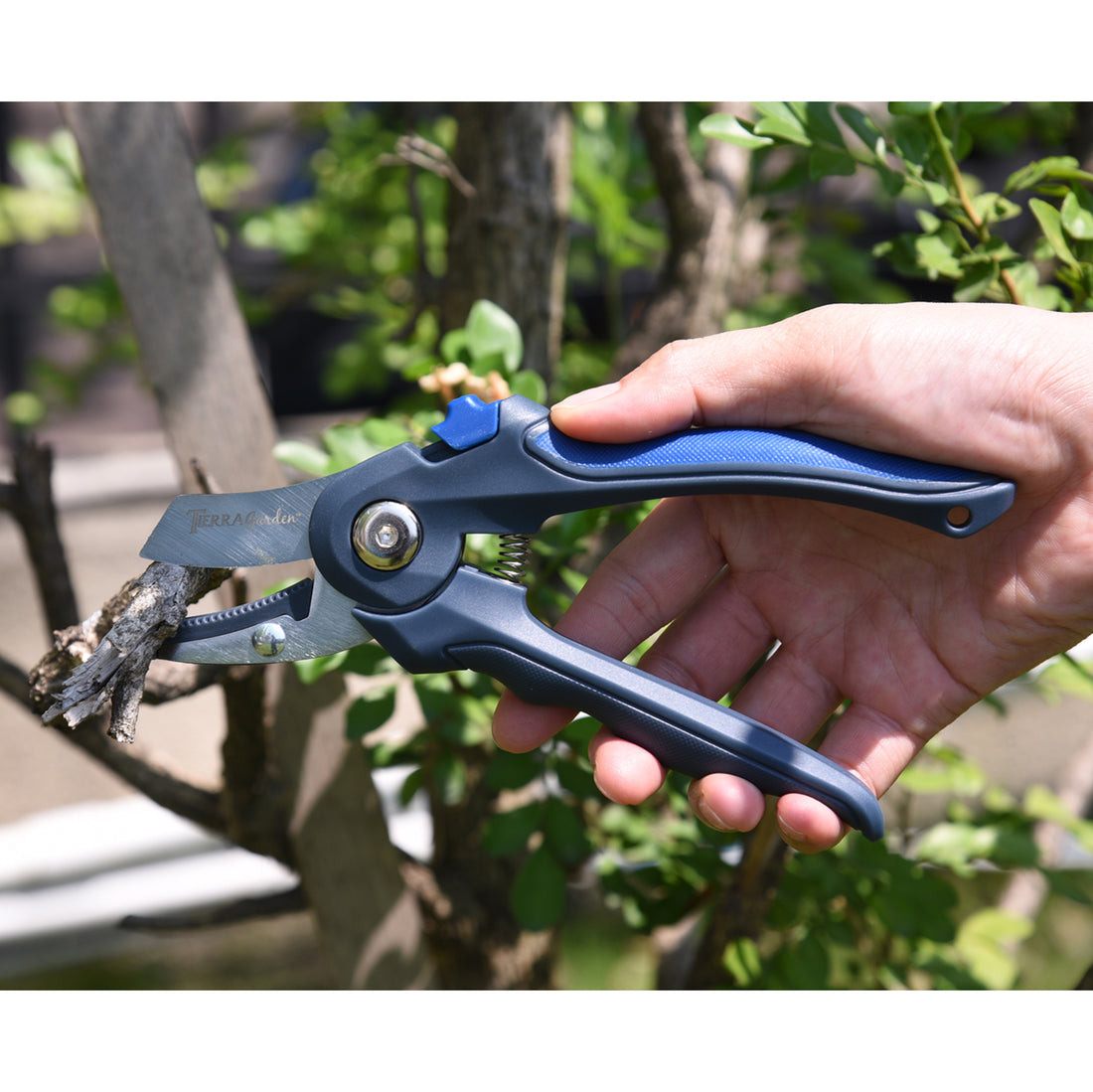 Tierra Stainless Steel Anvil Pruner with TRP Handle