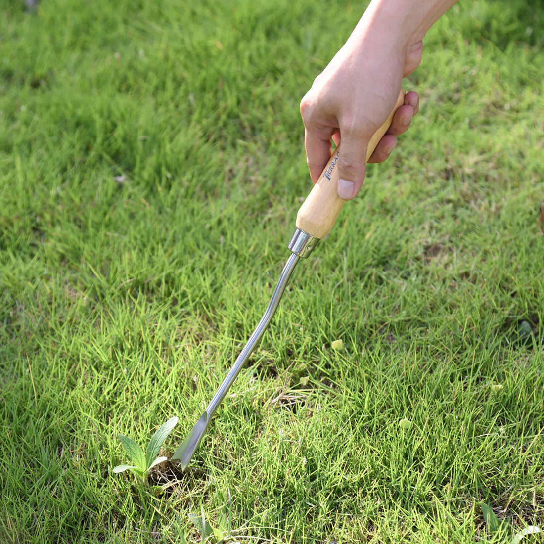 Tierra Stainless Steel Weeder with Bamboo Handle