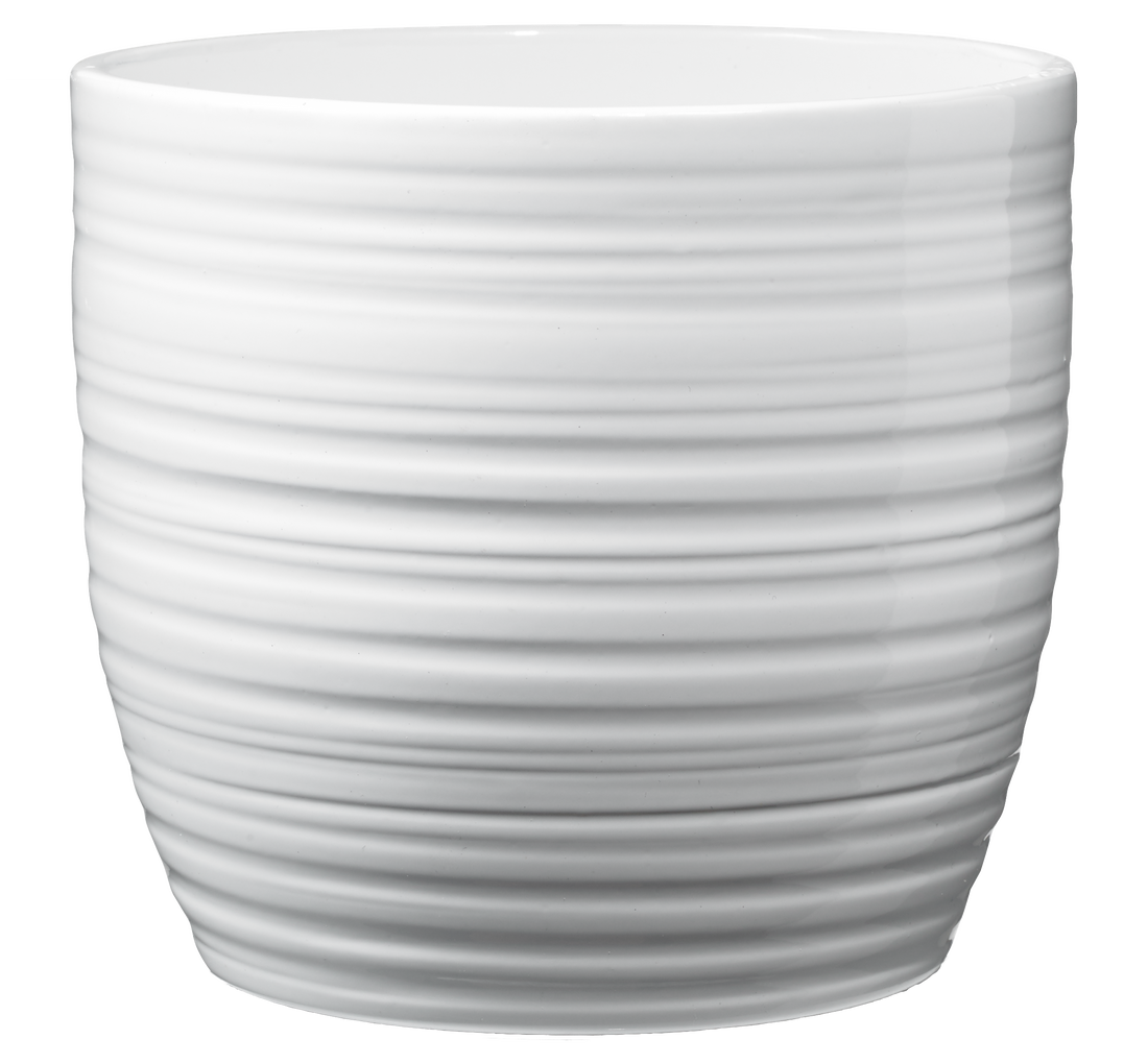 Bergamo Pure Ceramic Pot - 5.1" Shiny White