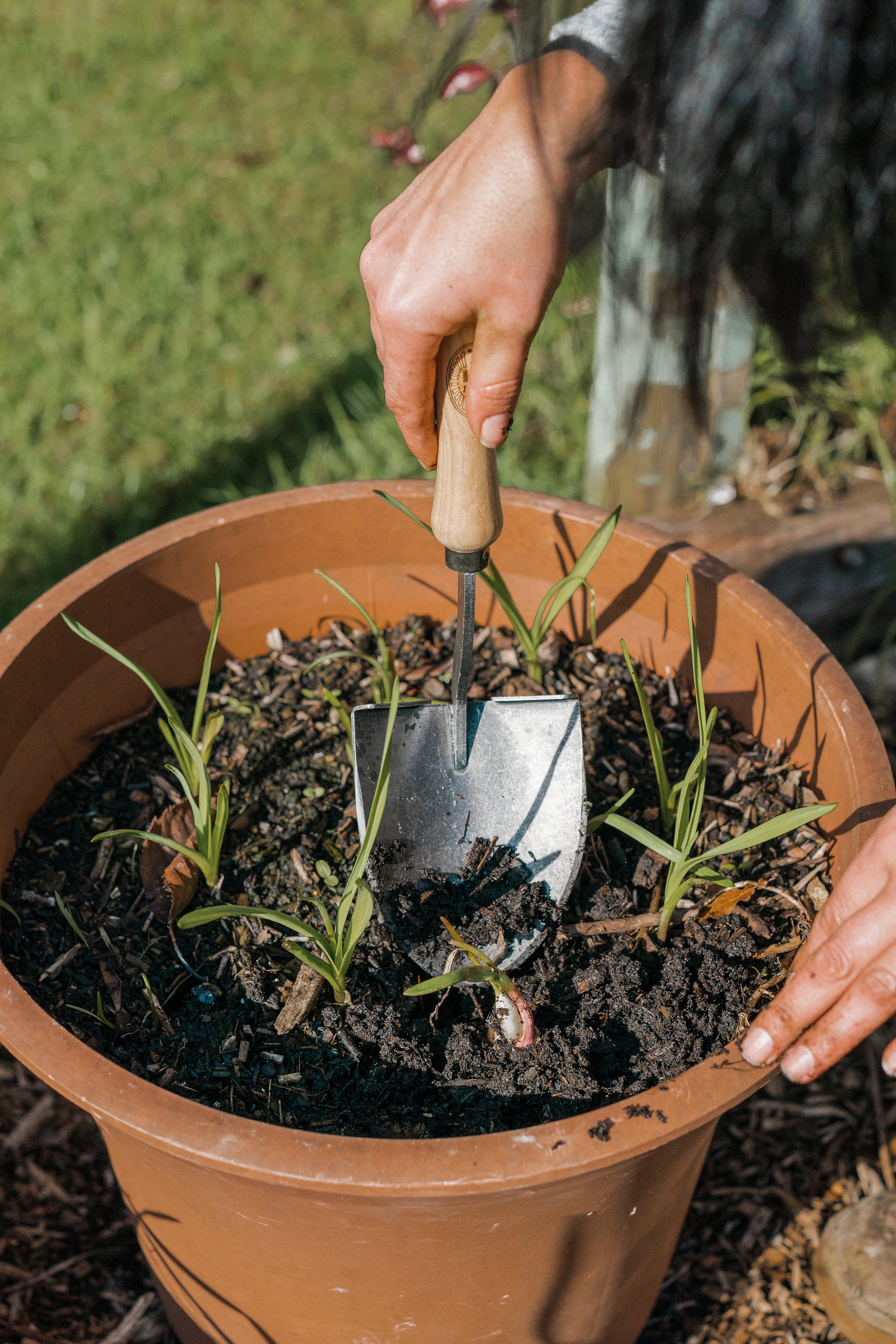 DeWit Shovel - Mini American
