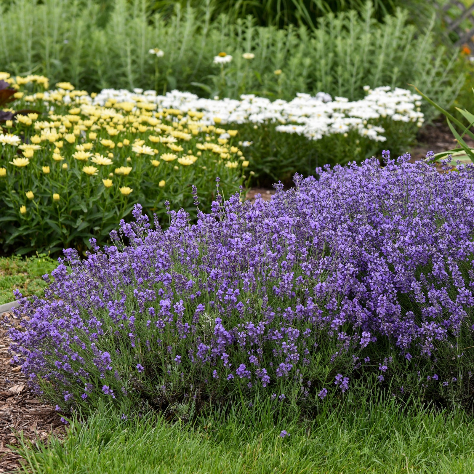 Sunny Point Gardens photo 3