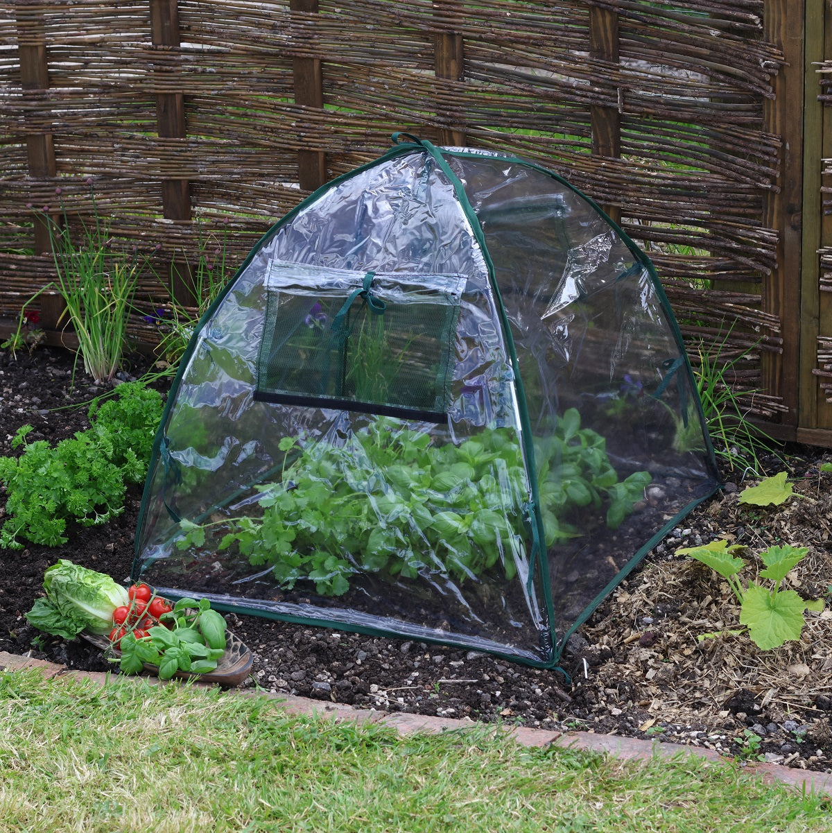 Greenhouses & Plant Protection