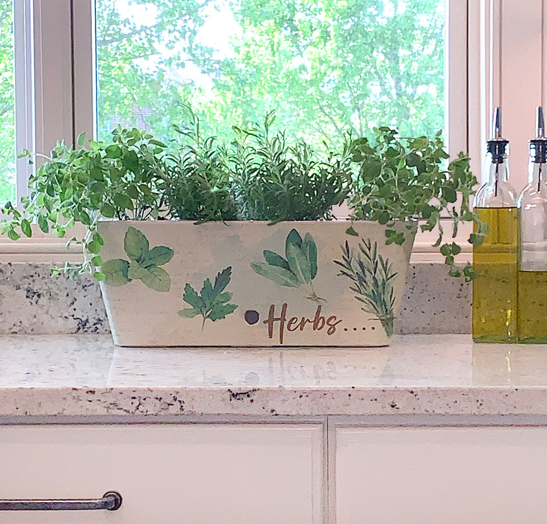 Pots, Planters, & Hanging Baskets