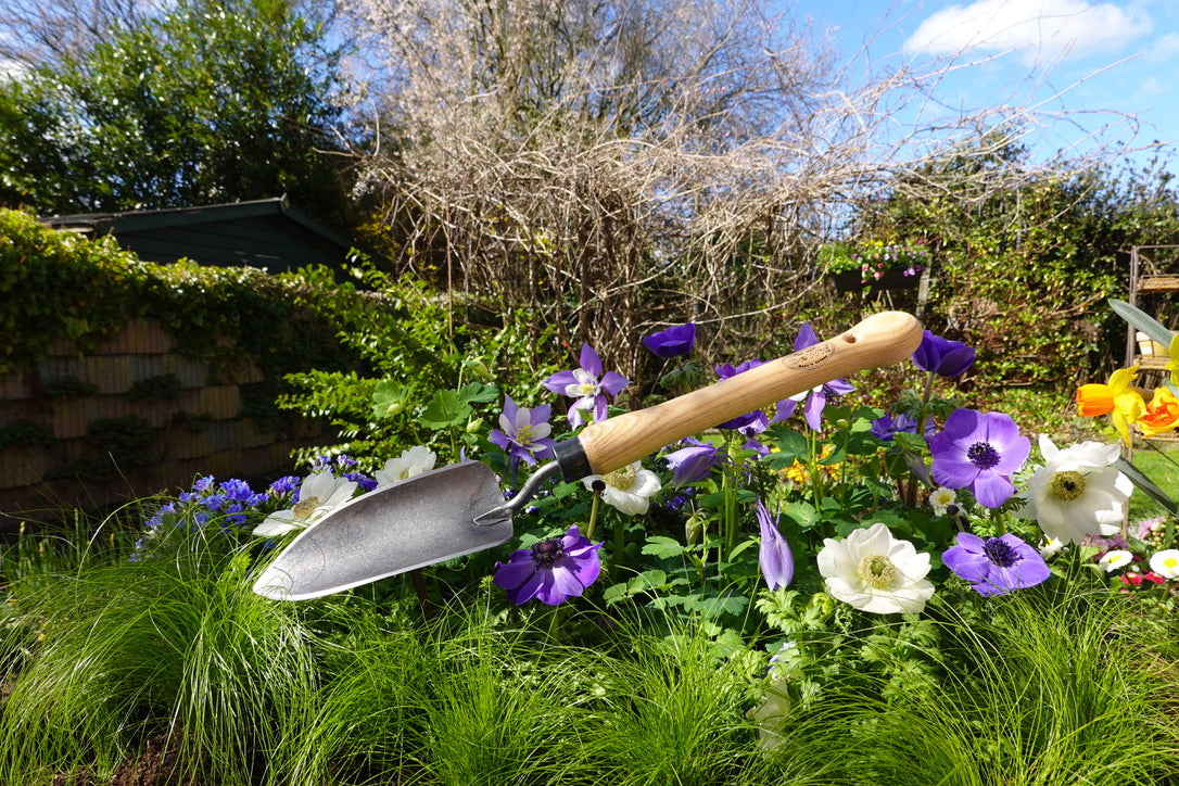 DeWit Trowel with Midsize Handle