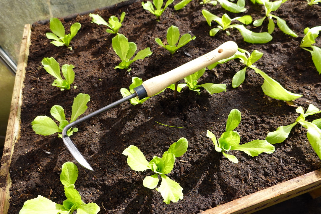 DeWit Weeder - Right Handed with Midsize Handle