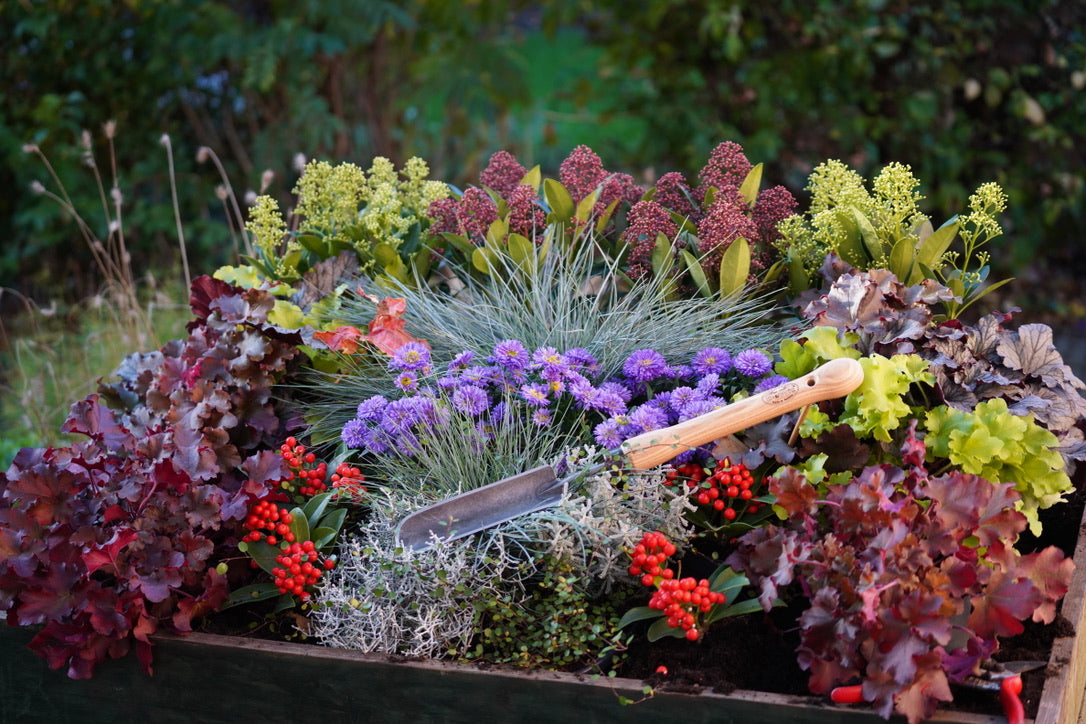 DeWit Trowel - Rock-N-Root with Midsize Handle