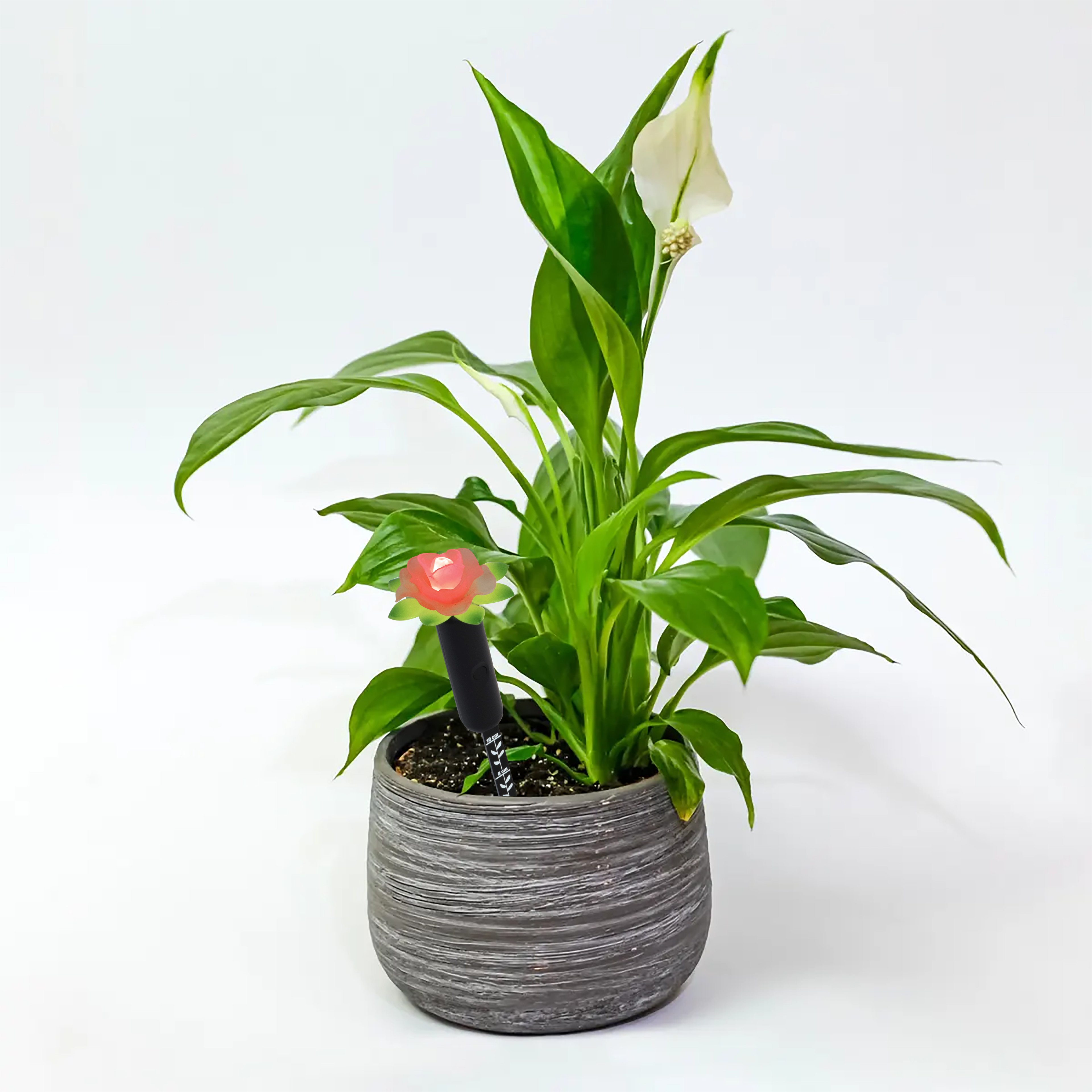 Plant Alarm Moisture Meter - Tall