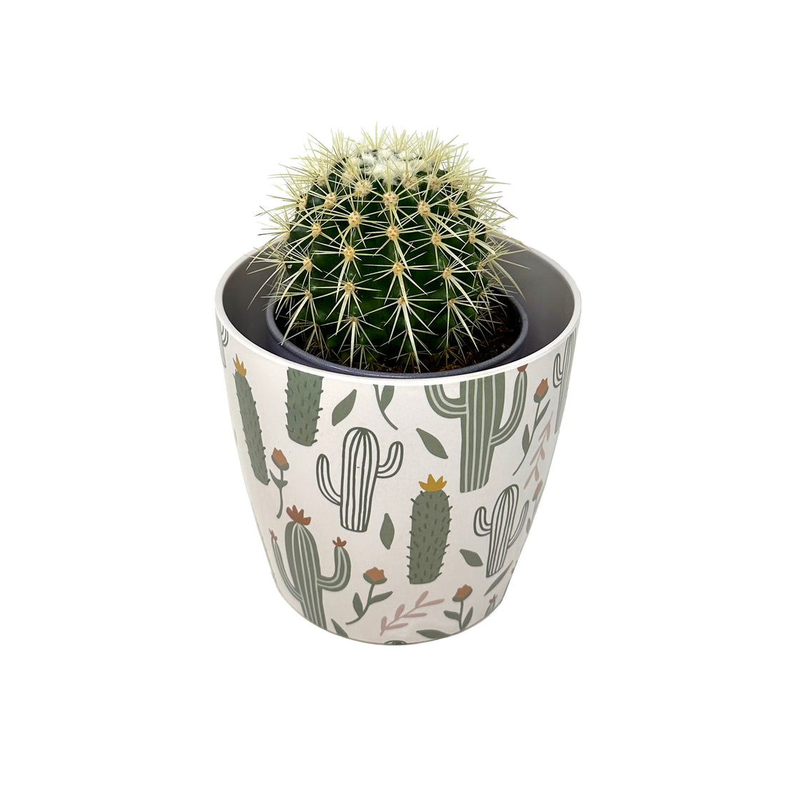 Self-Watering Bamboo Pot - 7&quot; Cactus Round