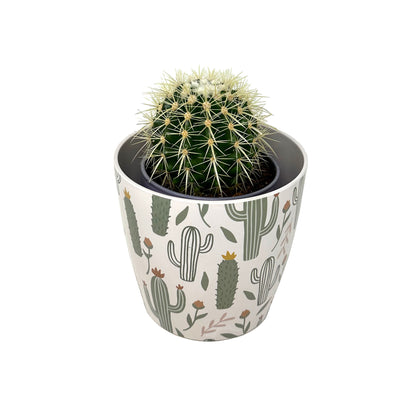 Self-Watering Bamboo Pot - 7&quot; Cactus Round