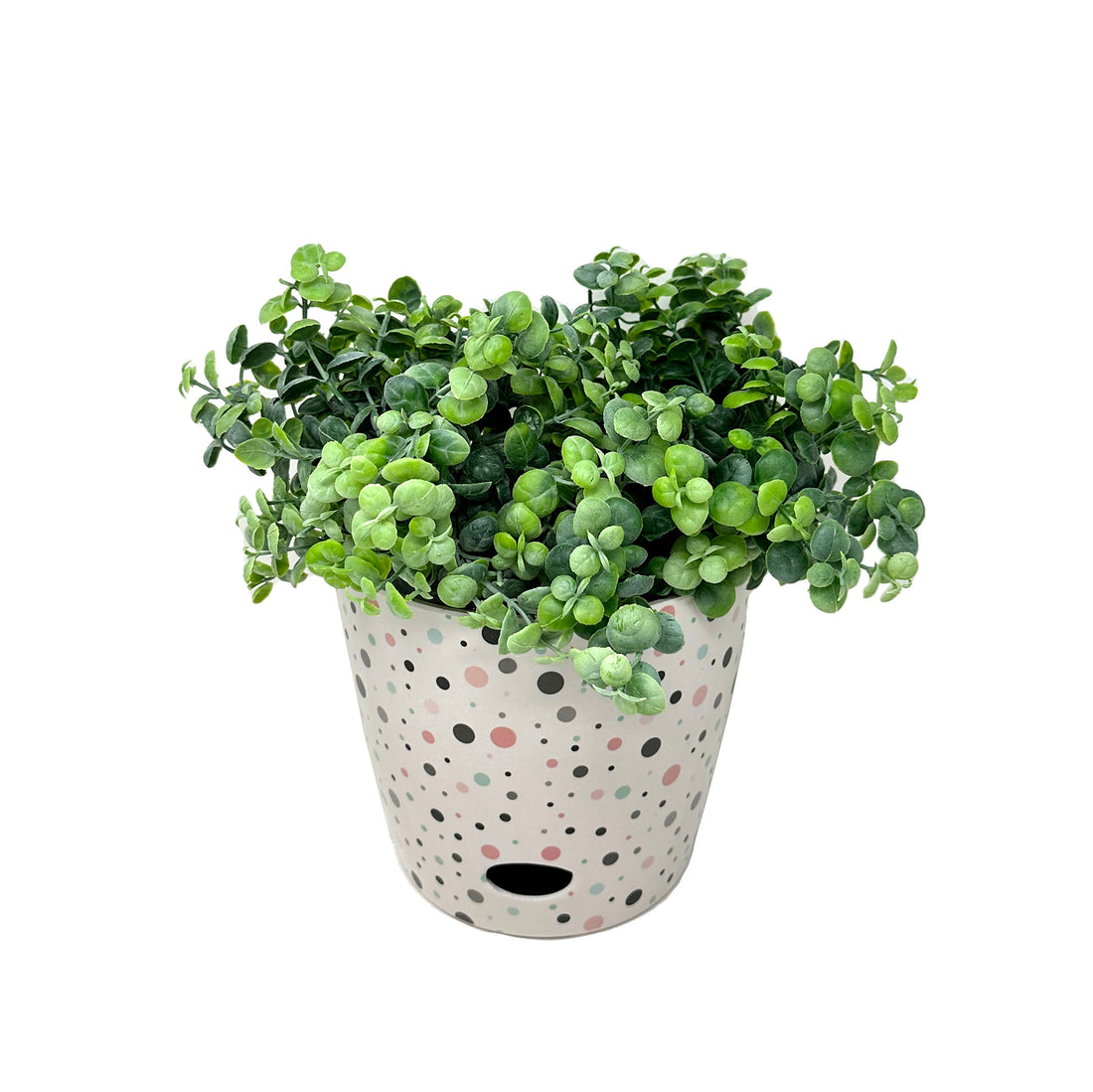 7" Round Self-Watering Bamboo Pot - Dots