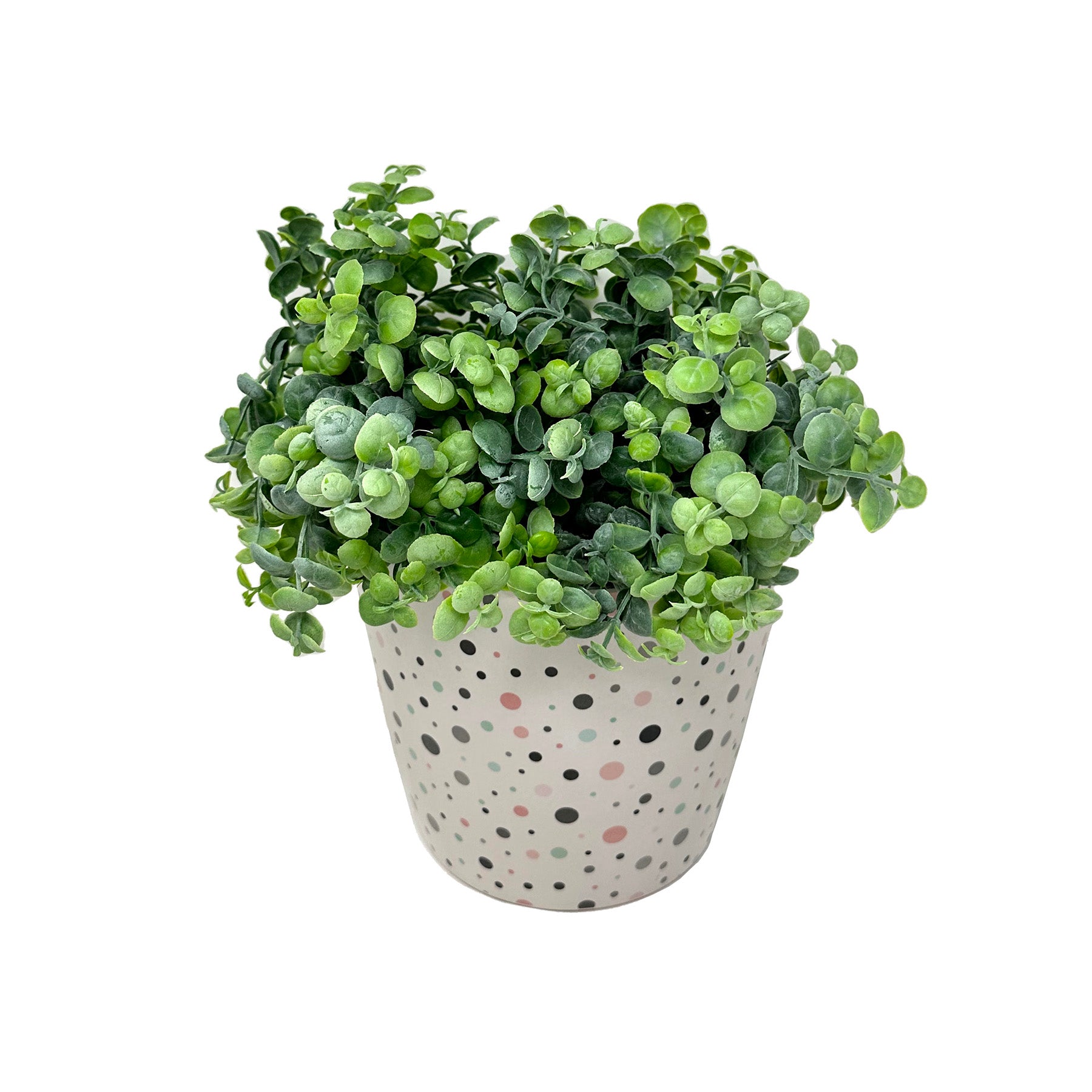 7" Round Self-Watering Bamboo Pot - Dots