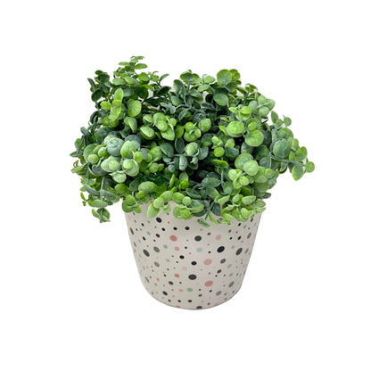 7" Round Self-Watering Bamboo Pot - Dots