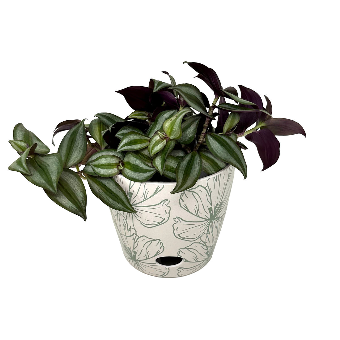 7" Round Self-Watering Bamboo Pot - Green Flower