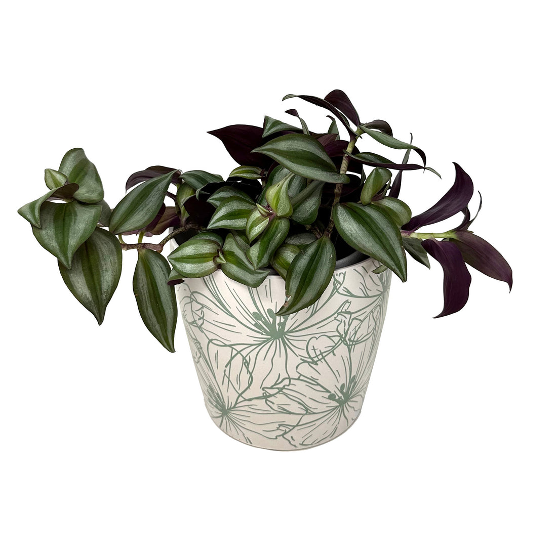 7" Round Self-Watering Bamboo Pot - Green Flower