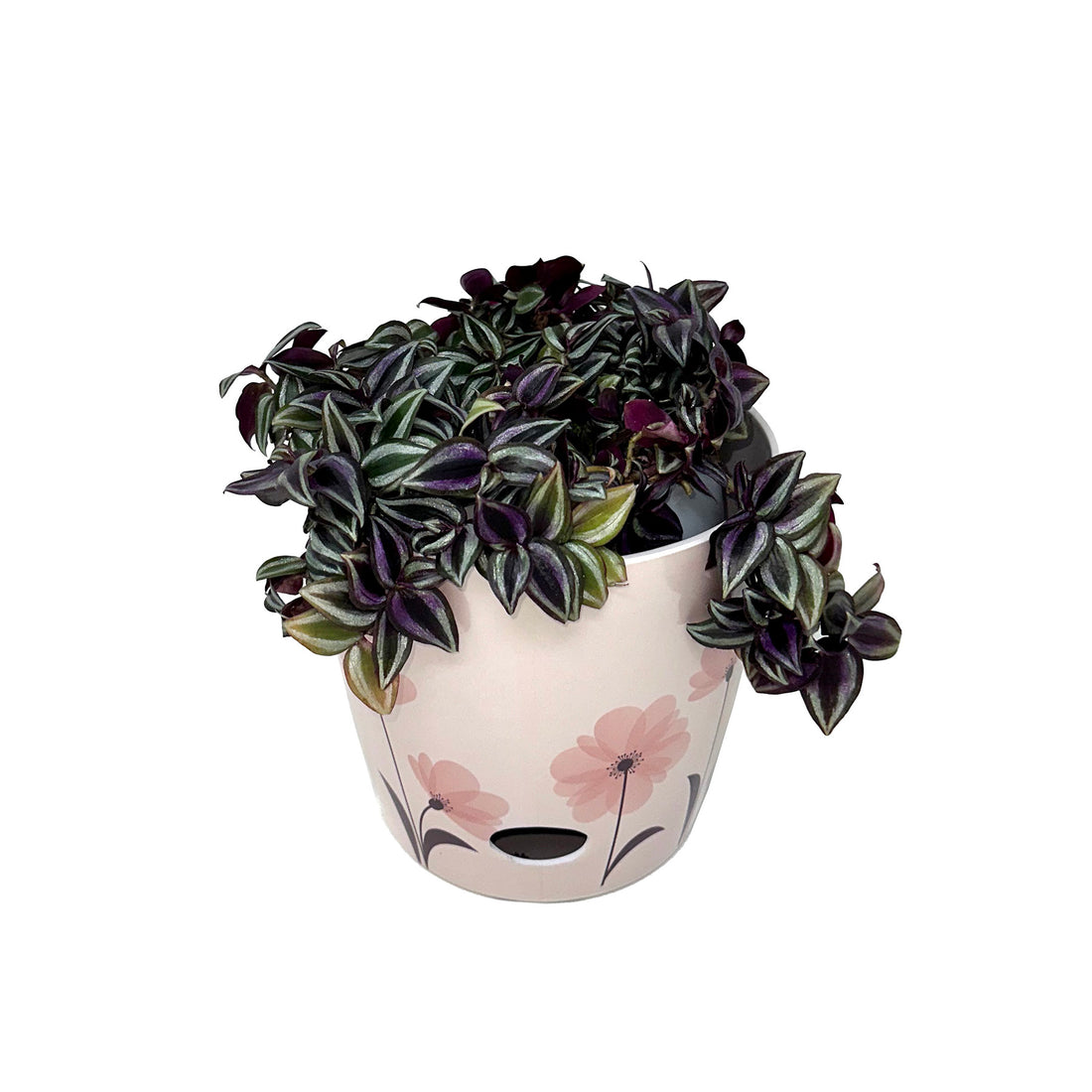 7" Round Self-Watering Bamboo Pot - Pink Flower