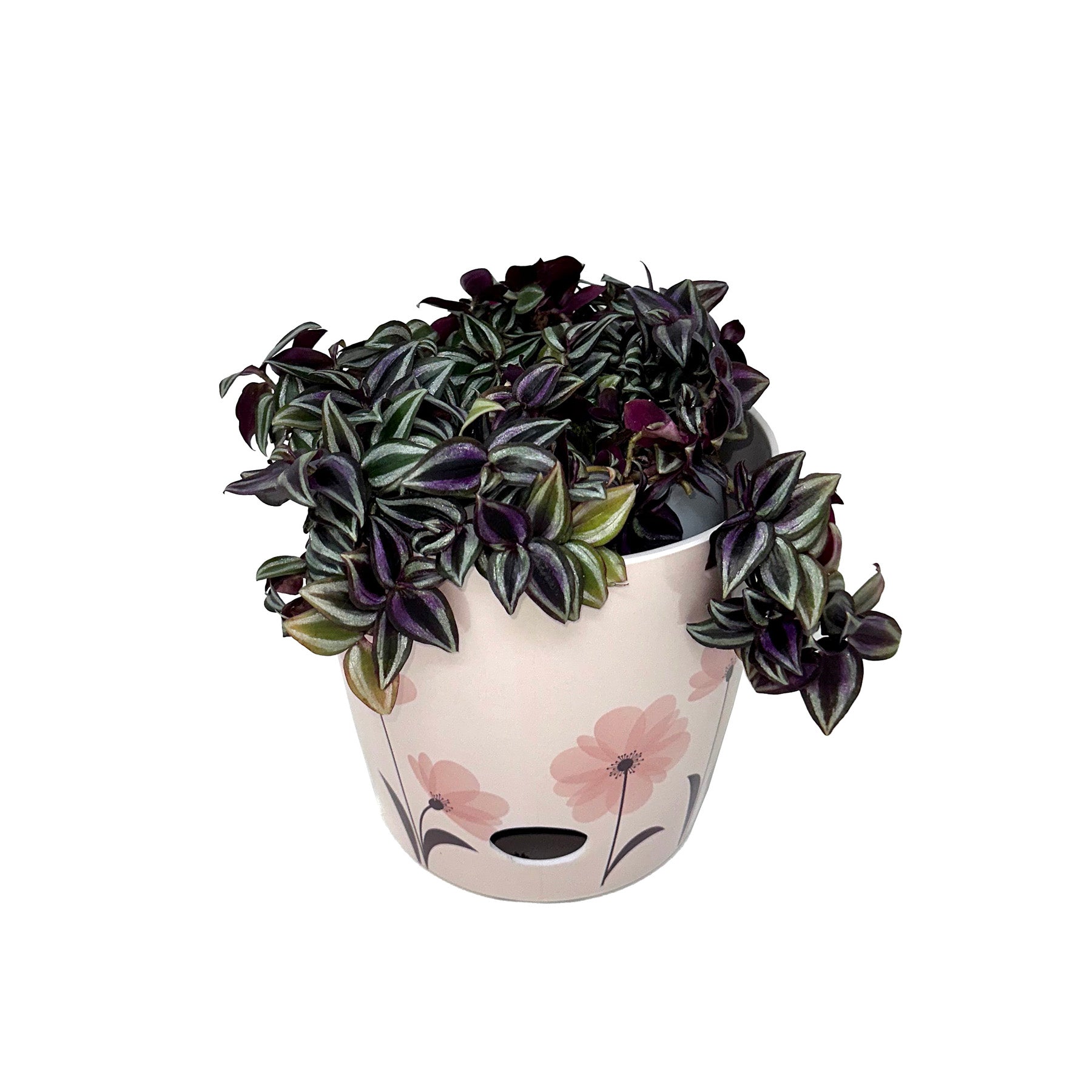 7" Round Self-Watering Bamboo Pot - Pink Flower