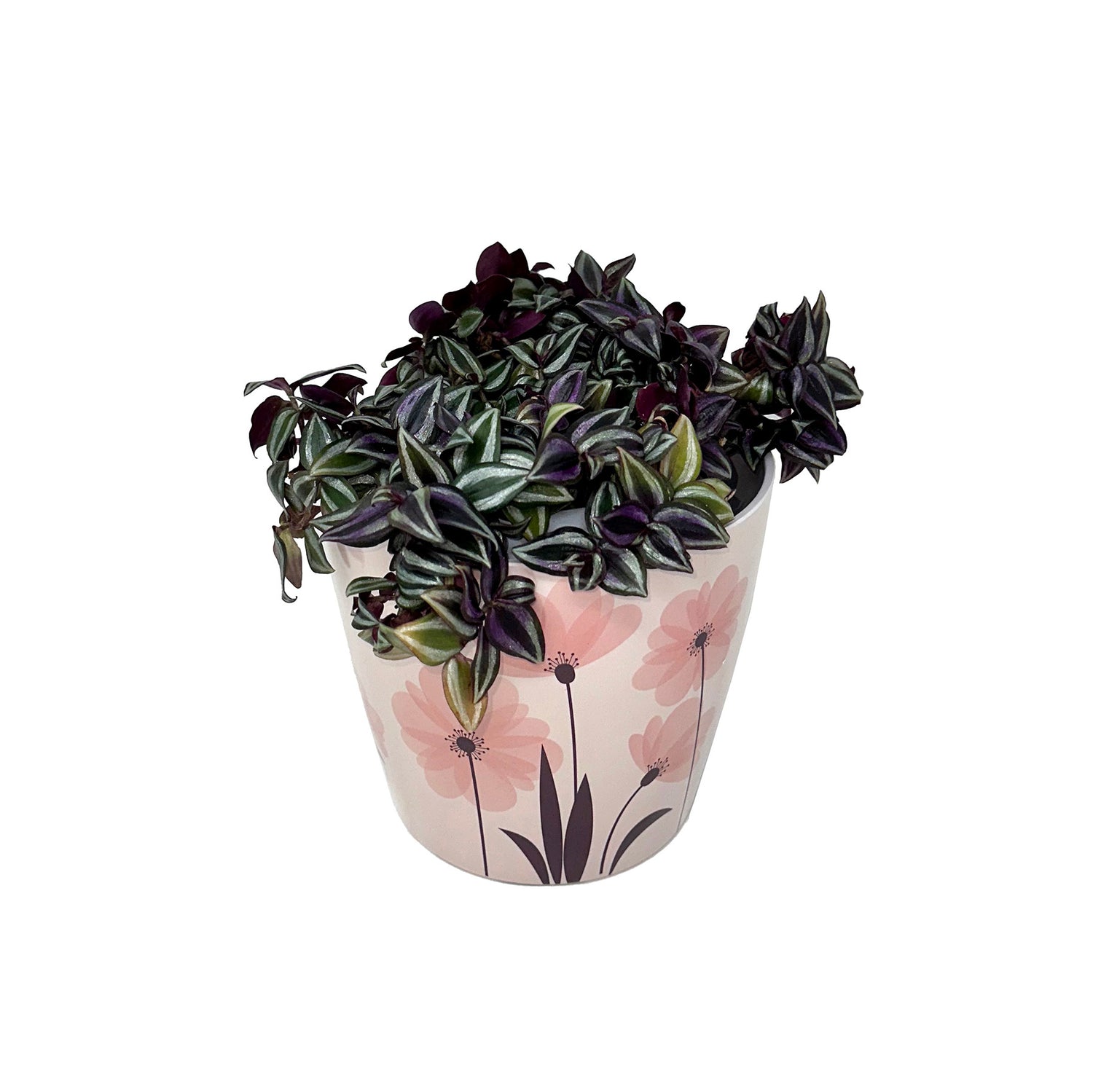 7" Round Self-Watering Bamboo Pot - Pink Flower