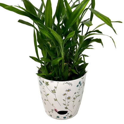 7" Round Self-Watering Bamboo Pot - Wildflower