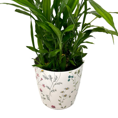 7" Round Self-Watering Bamboo Pot - Wildflower
