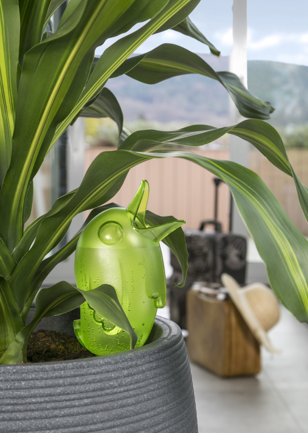 Bordy Water Reserve - 3 oz. Green