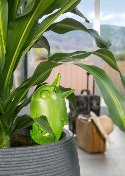 Bordy Water Reserve - 3 oz. Green