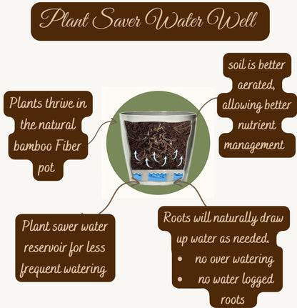 Self-Watering Bamboo Pot - 7&quot; Cactus Round