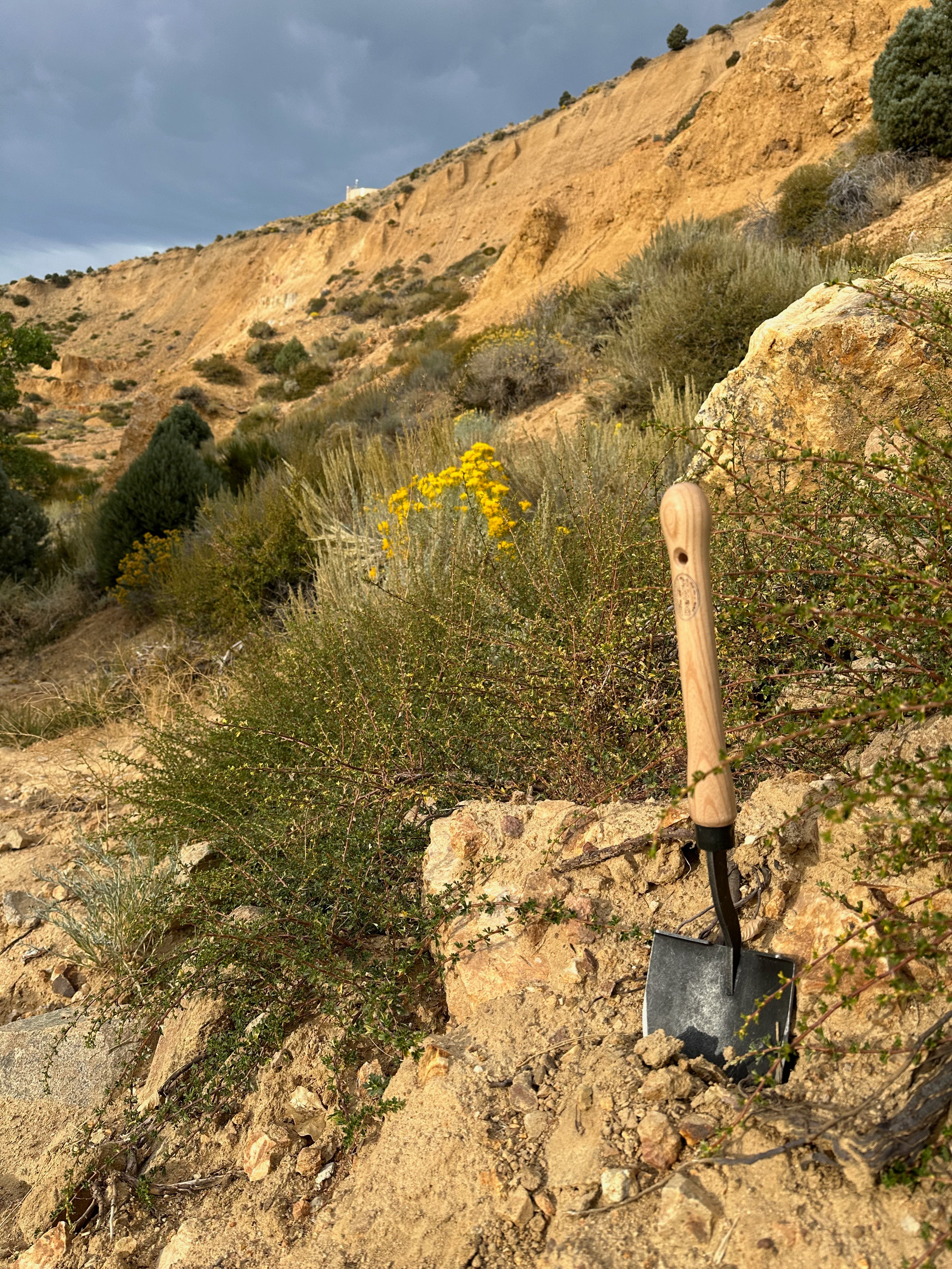 DeWit Shovel - American with 10" Handgrip