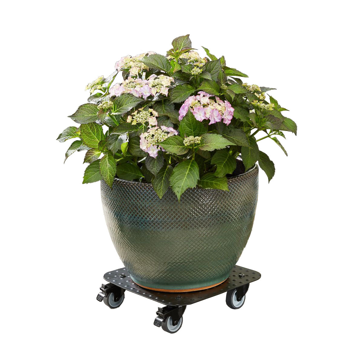 Aluminum Plant Caddy - 11.4" Black Square