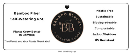 16" Rectangular Self-Watering Bamboo Planter - Herbs