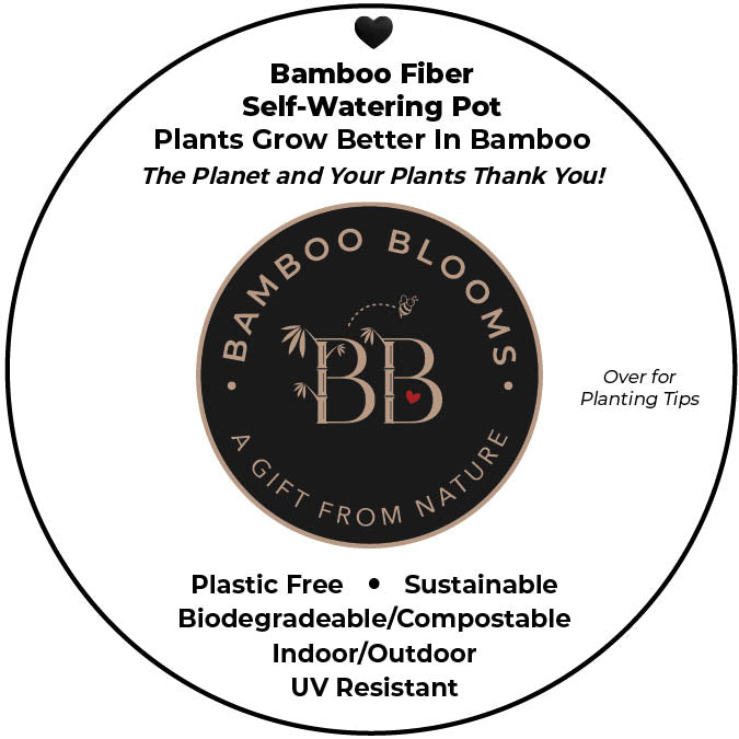 Self-Watering Bamboo Pot - 7&quot; Cactus Round