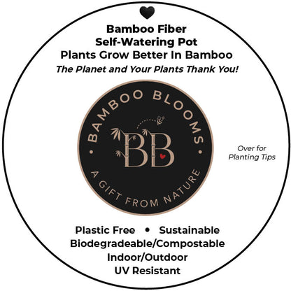 Self-Watering Bamboo Pot - 7&quot; Cactus Round