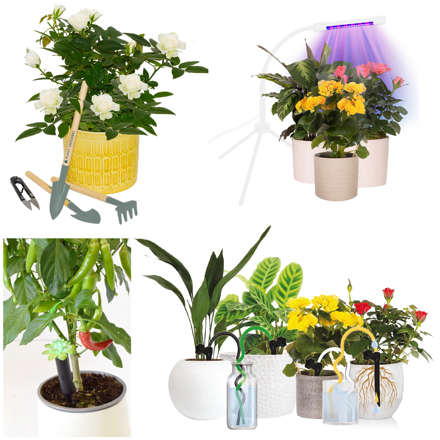 Plant Alarm -  Deluxe 5 piece Kit
