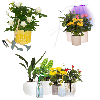 Plant Grow Kit