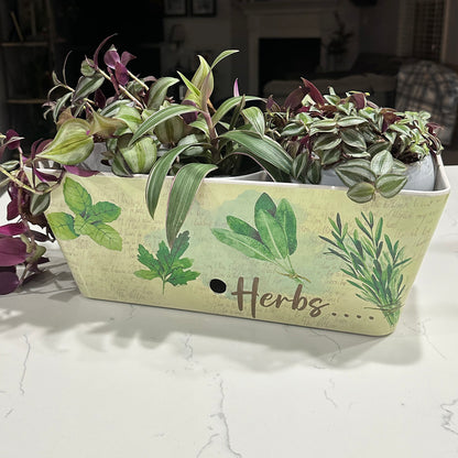 16" Rectangular Self-Watering Bamboo Planter - Herbs